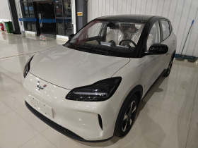 五菱汽车 五菱缤果PLUS 2024款 330km 五座版