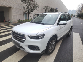哈弗H6 2021款 运动版 1.5T 自动精英智联型 六边形格栅