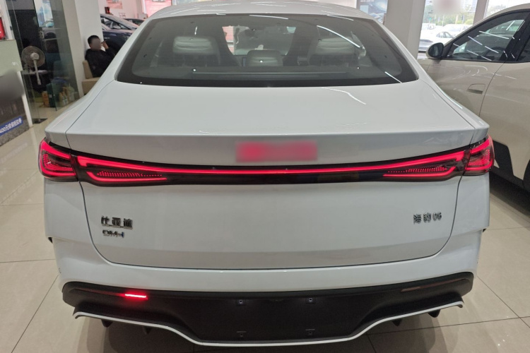 比亚迪 海豹06新能源 2024款 DM-i 80KM尊贵型车身外观6004