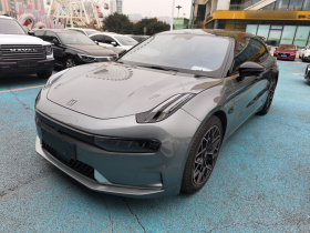 极氪001 2021款 超长续航单电机 WE版