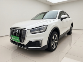 奥迪Q2L e-tron 2019款 Q2L e-tron 纯电智酷型