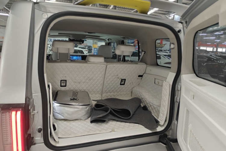 超境汽车 共创坦克300 2021款 2.0T 赛博坦克局部细节23