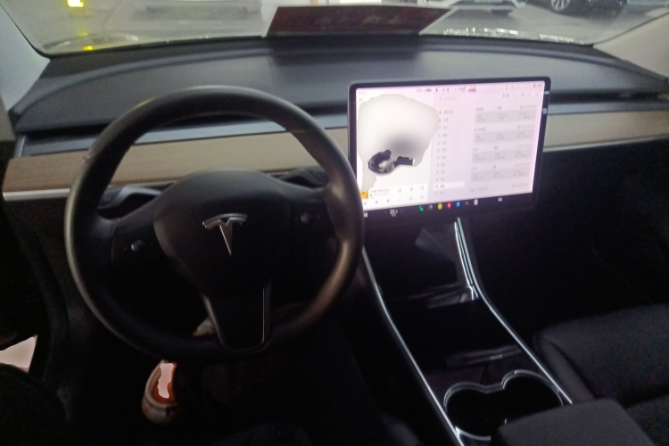 特斯拉 Model 3(进口) 2019款 长续航全轮驱动版中控内饰7002