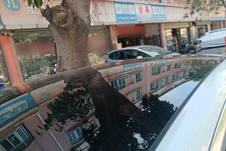 特斯拉 Model 3(进口) 2019款 标准续航后驱升级版(60度)局部细节57