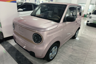 吉利银河 2024款 熊猫mini 200km 耐力熊