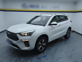 哈弗H6 Coupe 2019款 1.5T 自动两驱豪华智联版 国VI