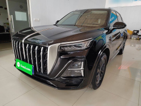 红旗HS5 2023款 2.0T 旗享Pro版