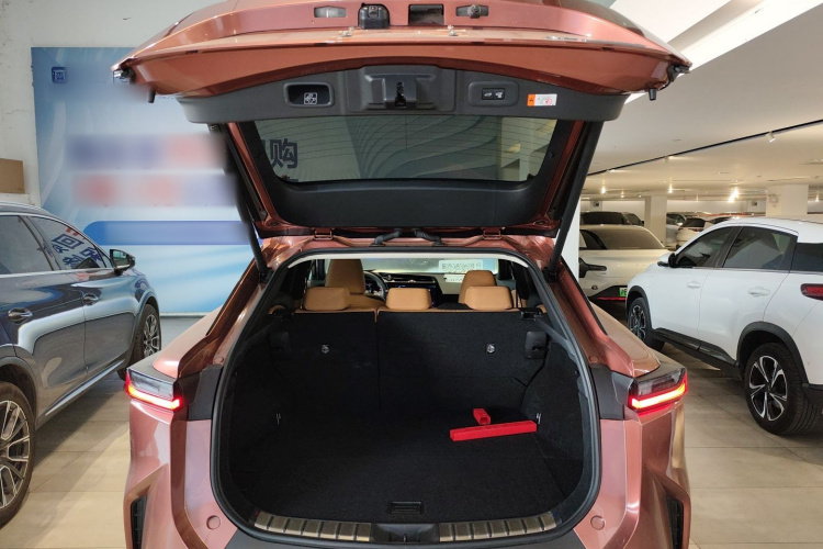 雷克萨斯RZ 2023款 450e 四驱纵享版机舱底盘23