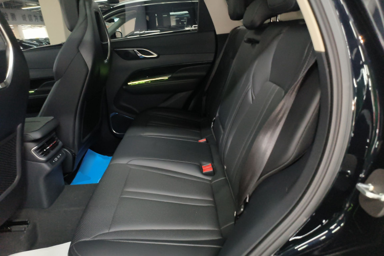 红旗HS3 PHEV 2024款 PHEV 115km 劲为版中控内饰21