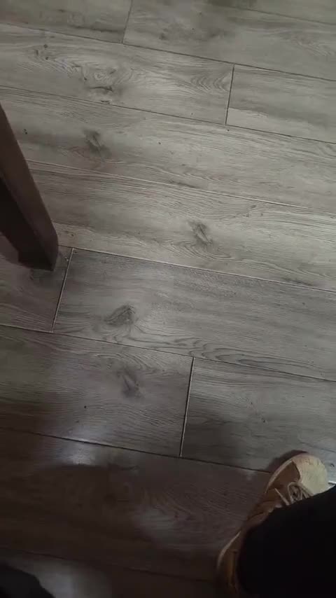 特斯拉 Model Y 2024款 长续航全轮驱动版讲解2