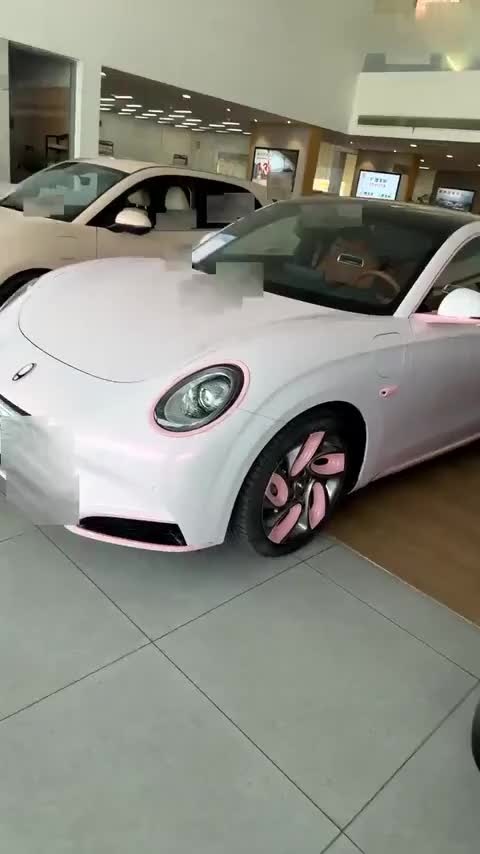 欧拉闪电猫 2022款 555km 尊贵版讲解2