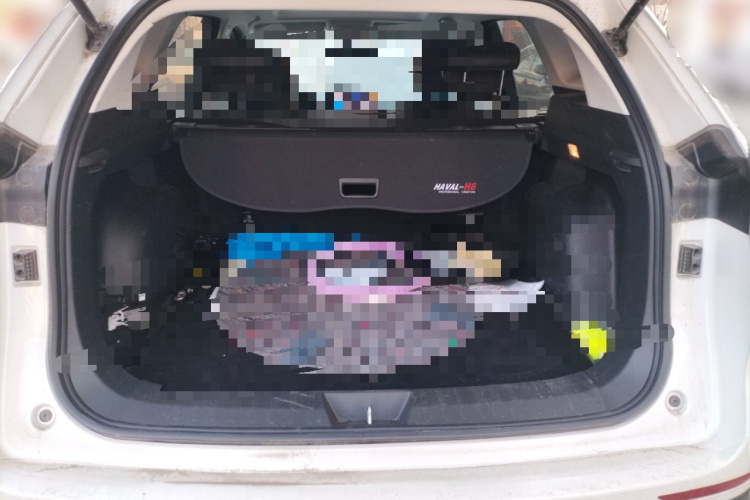 哈弗H6 2021款 国潮版 1.5T 自动都市版中控内饰23