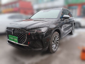 林肯 冒险家 2024款 2.0T 两驱尊享版