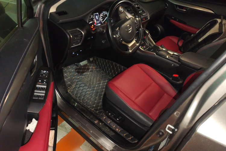 雷克萨斯NX 2020款 200 全驱 锋尚版 国VI中控内饰19