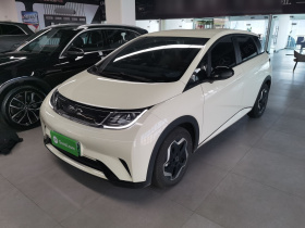 比亚迪 海豚 2021款 405km 时尚版