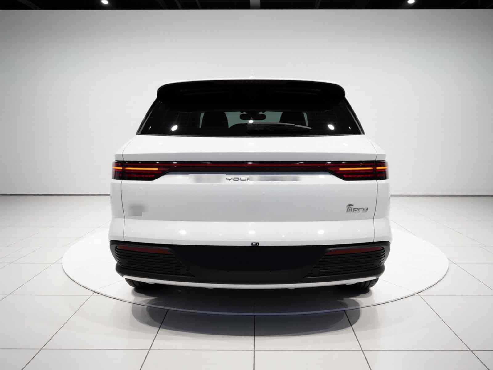 比亚迪 宋Pro新能源 2024款 荣耀版 DM-i 71KM领航型(4)