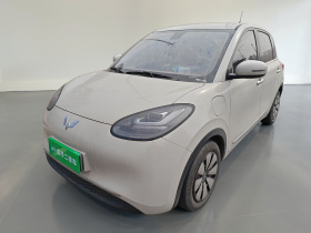 五菱汽车 五菱缤果 2024款 333km 悦享款