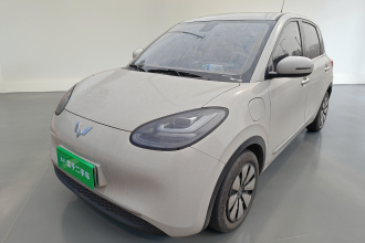 五菱汽车 五菱缤果 2024款 333km 悦享款