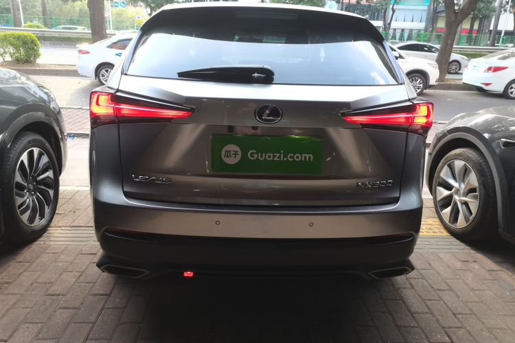 雷克萨斯NX 2018款 300 前驱 锋行版车身外观6