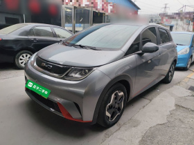 比亚迪 海豚 2021款 405km 时尚版