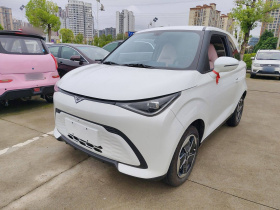 凯翼拾月 2023款 201km 踏浪版