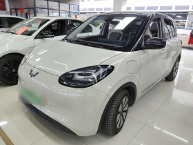 五菱汽车 五菱缤果 2023款 333km 灵犀互联款