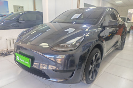 特斯拉 Model Y 2024款 后轮驱动版
