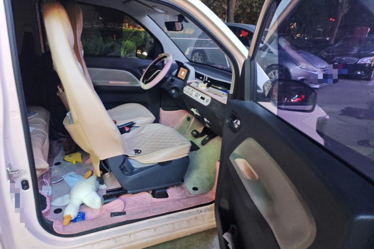 五菱汽车 宏光MINIEV 2021款 马卡龙臻享款 磷酸铁锂局部细节9005