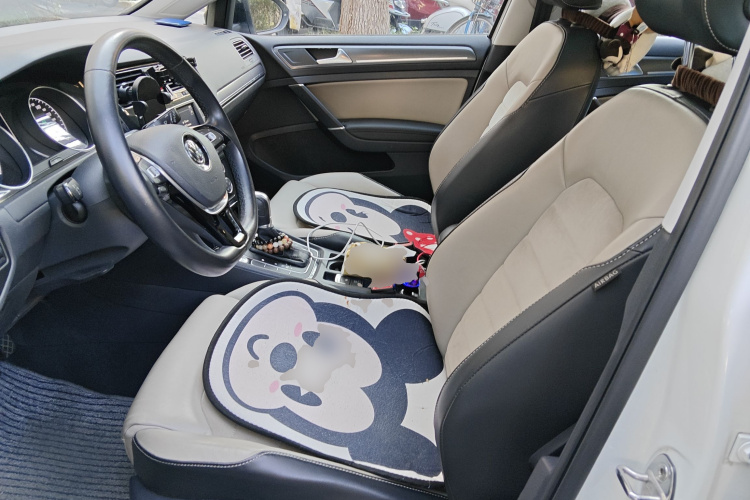 大众 高尔夫 2017款 230TSI 自动豪华百万辆纪念版中控内饰19