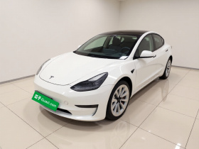 特斯拉 Model 3 2021款 标准续航后驱升级版