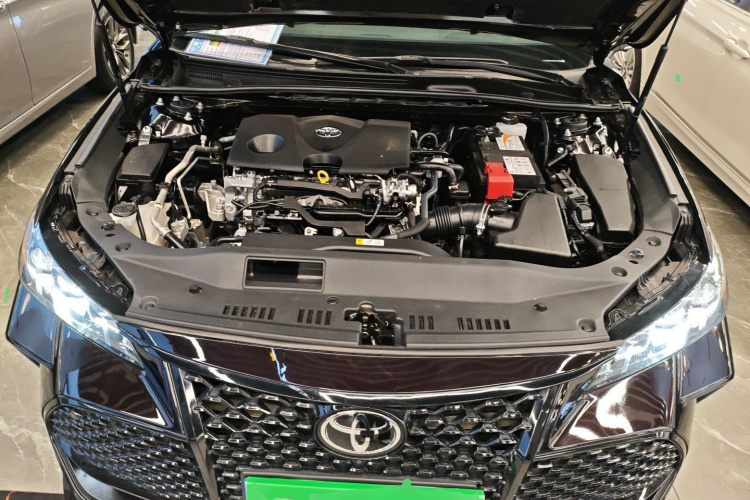 丰田 亚洲龙 2019款 2.0L 豪华版 国VI机舱底盘24