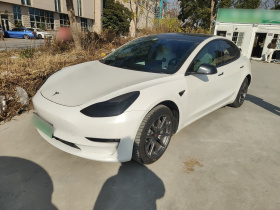 特斯拉 Model 3 2020款 长续航后轮驱动版