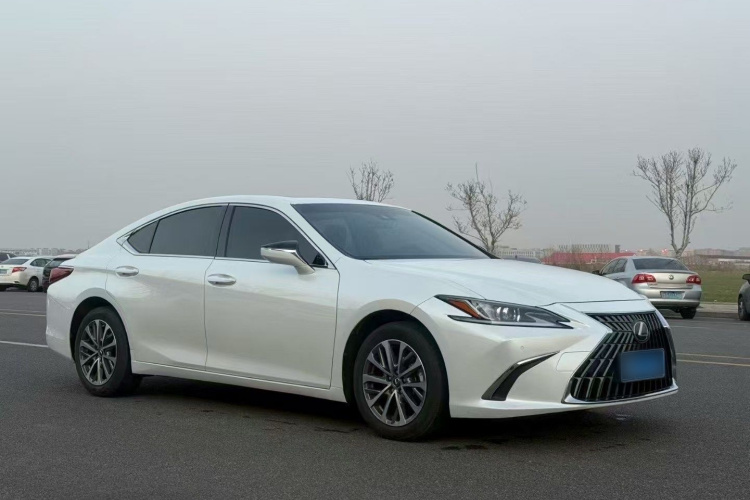 雷克萨斯ES 2023款 200 卓越版车身外观6011