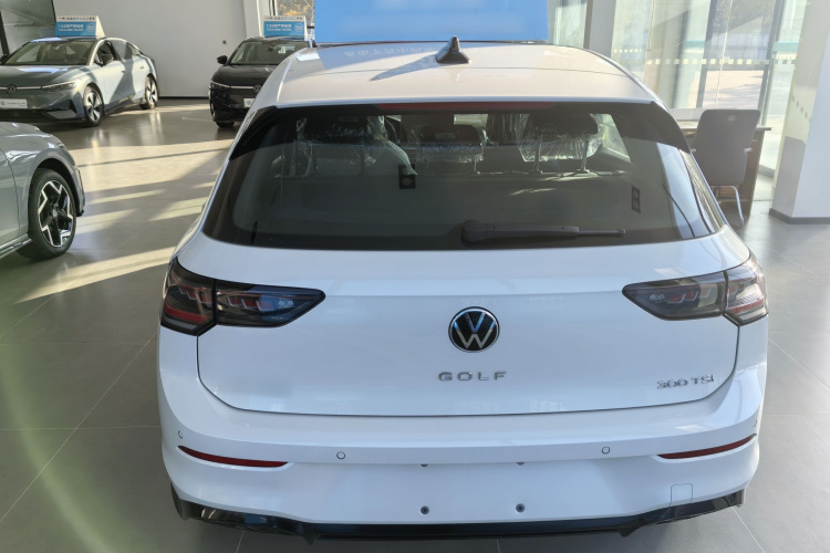 大众 高尔夫 2025款 300TSI R-Line车身外观6004