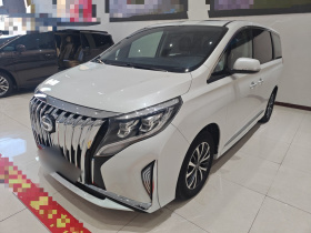 广汽传祺 传祺M8 2021款 改款 领秀系列 390T 豪华版