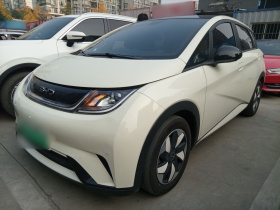 比亚迪 海豚 2024款 荣耀版 420km 时尚版