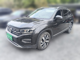 大众 探岳 2021款 330TSI 两驱30周年纪念版