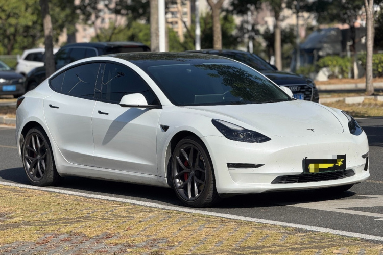 特斯拉 Model 3 2021款 Performance高性能全轮驱动版车身外观6002