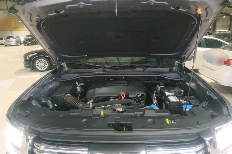 哈弗H5 2023款 2.0T自动两驱领英 汽油机舱底盘24