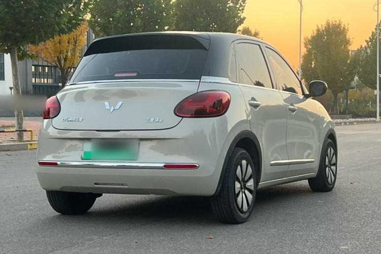 五菱汽车 五菱缤果 2023款 333km 灵犀互联款车身外观6004