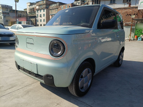 吉利银河 2023款 熊猫mini 200km 耐力熊