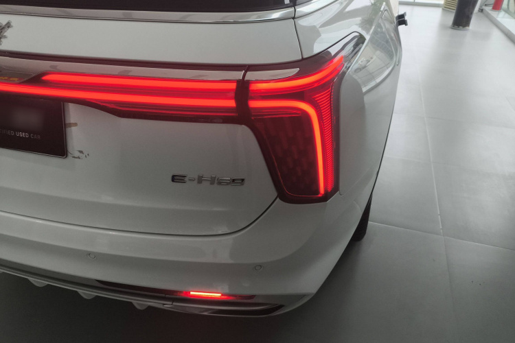 红旗E-HS9 2022款 660km 旗畅版 六座车身外观9