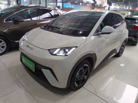 比亚迪 海鸥 2023款 自由版