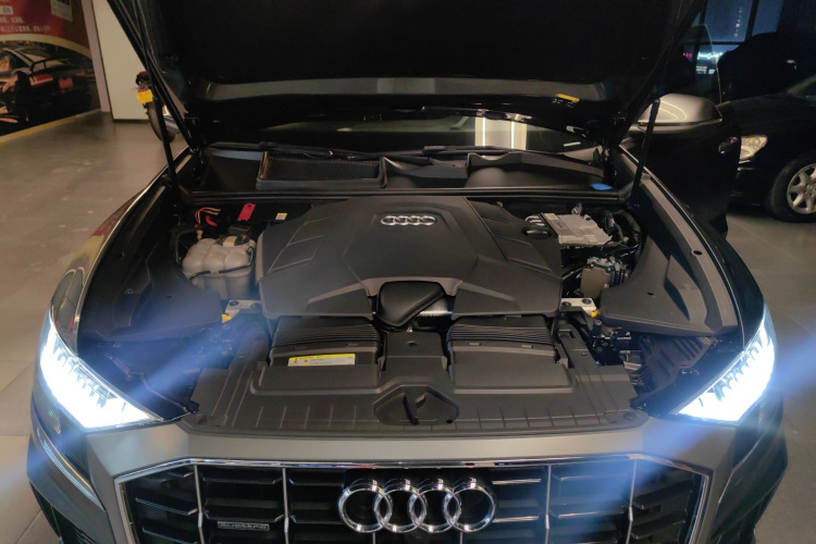 奥迪Q8 2019款 55 TFSI 臻选动感型局部细节24
