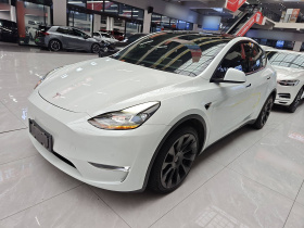特斯拉 Model Y 2021款 长续航全轮驱动版