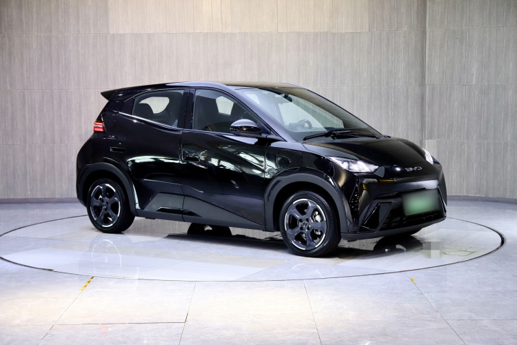 比亚迪 海鸥 2023款 飞翔版车身外观6002