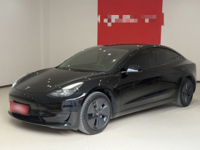 特斯拉 Model 3 2021款 标准续航后驱升级版