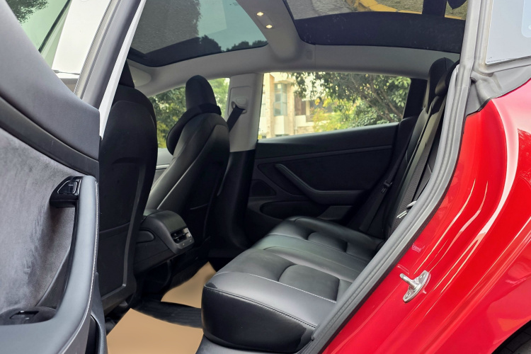 特斯拉 Model 3 2019款 标准续航后驱升级版局部细节9003