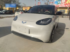 五菱汽车 五菱缤果 2023款 203km 舒享款