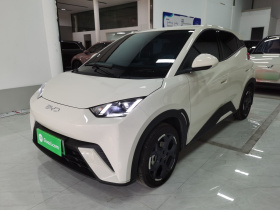 比亚迪 海鸥 2025款 305km 自由版